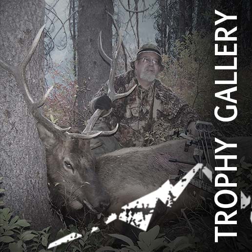 White Mountain Outfitters - Trophy Hunting Photo Gallery